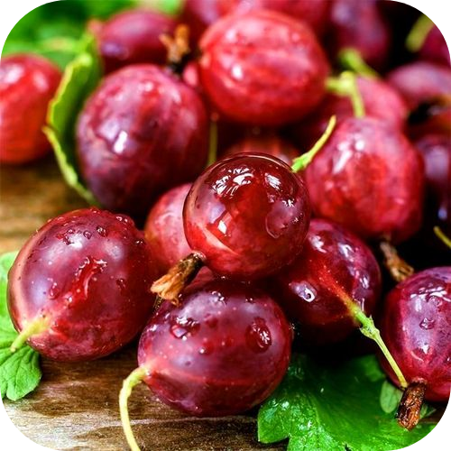Крыжовник "Хиннонмаки Ред" Крыжовник "Хиннонмаки Ред"